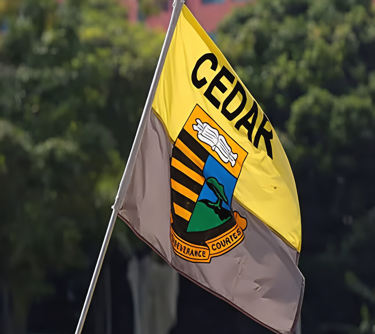 Cedar Flag